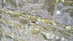 acastle 105755.jpg